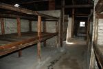 039 Auschwitz Birkenau bedden in een barak.jpg